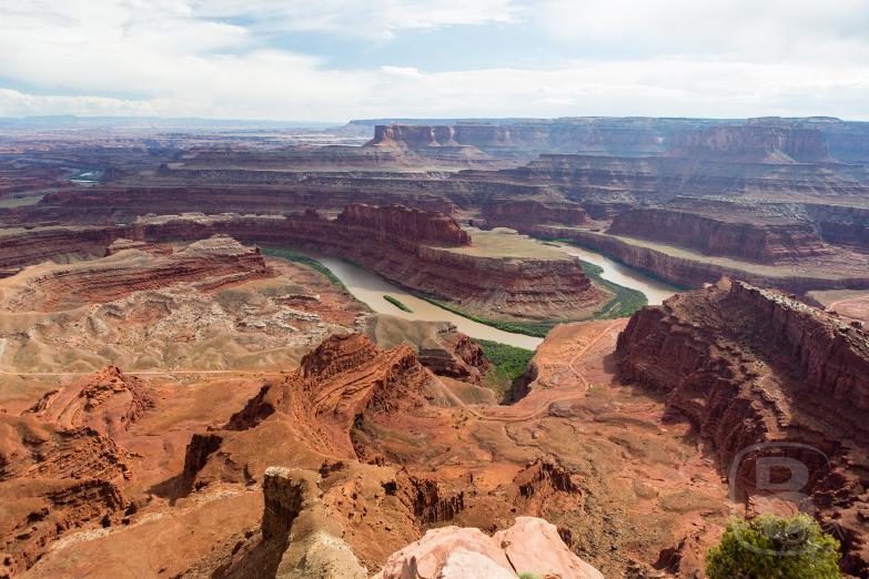 Dead Horse Point State Park | Dead Horse Point Overlook