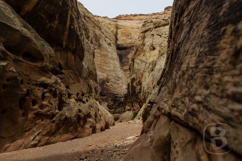 Capital Reef National Park | Grand Wash Trail