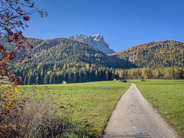 Sexten | Lärchenwälder