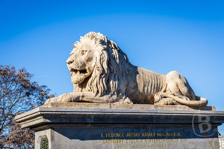 Budapest | Löwe auf der Kettenbrücke