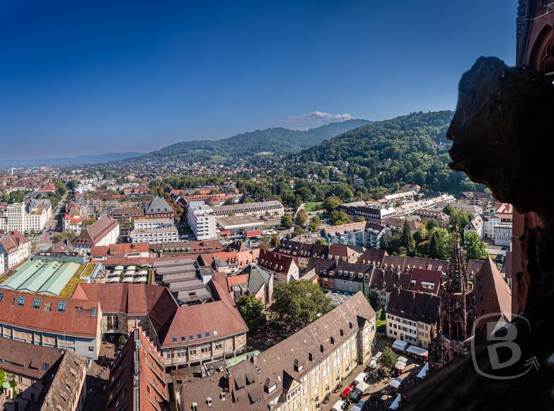 Freiburg | Blick vom Münster