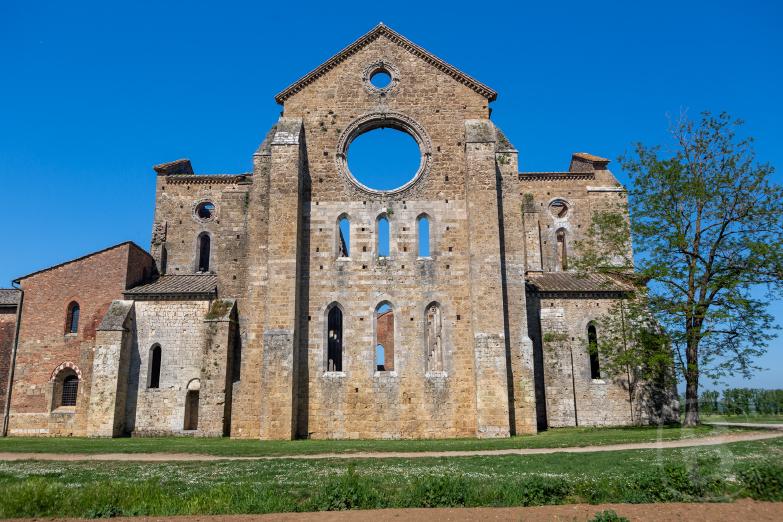 Abbazia di San Galgano | Portal