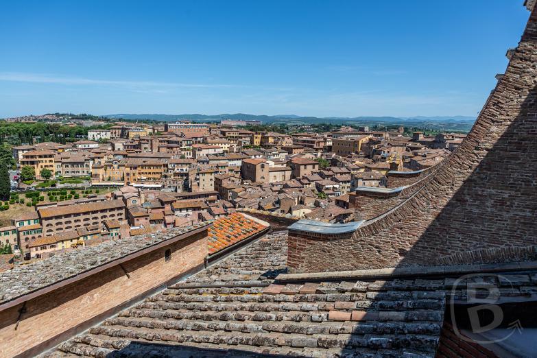 Siena | Blick vom Duomo di Siena