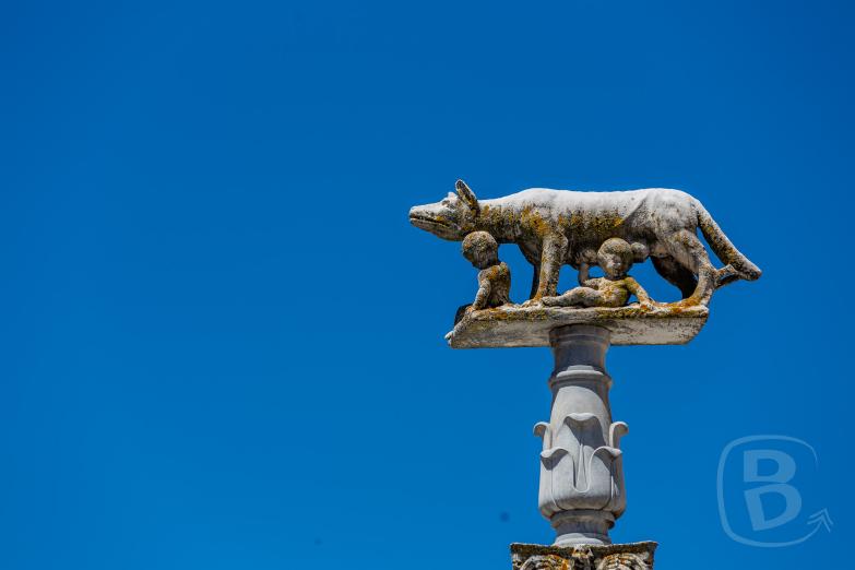 Siena | Säule der Wölfin vor dem Duomo di Siena