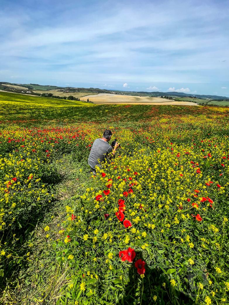 San Quirico d&rsquo;Orcia | Dirk bei der Arbeit im Blumenfeld