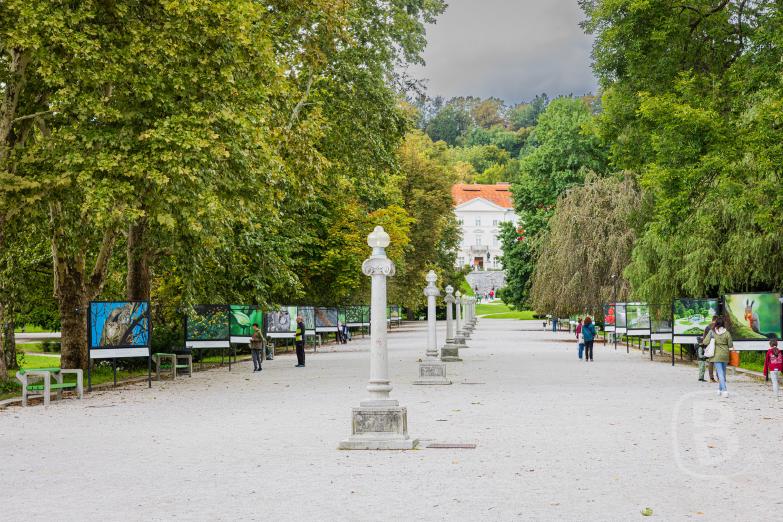 Slowenien/Ljubljana | Jakopič-Promenade im Tivoli-Park