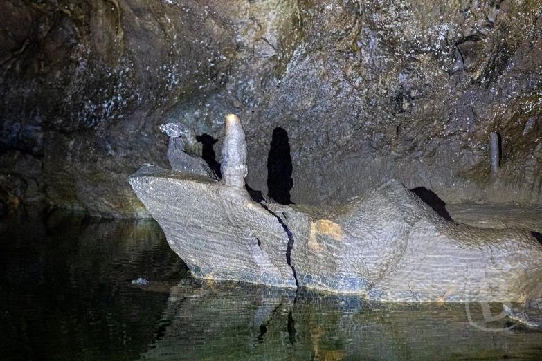 Slowenien/Križna jama | Drache