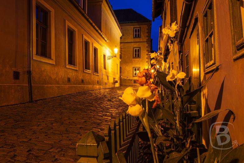 Tschechien/Prager Burg | Goldenes Gässchen bei Nacht