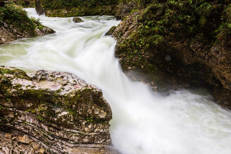Slowenien/Bled | Vintgar-Klamm