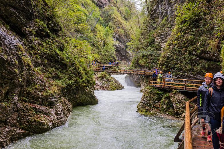 Slowenien/Bled | Vintgar-Klamm