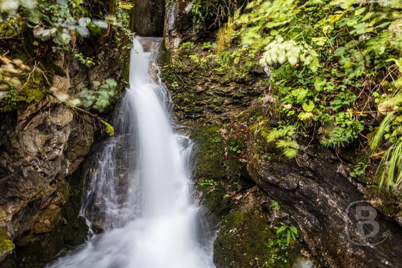 Slowenien/Bled | Vintgar-Klamm