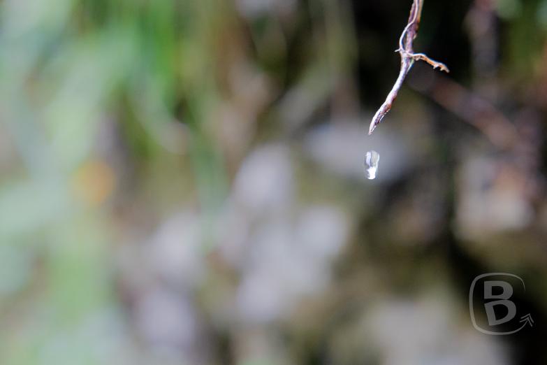 Slowenien/Bled | Vintgar-Klamm - Wassertropfen