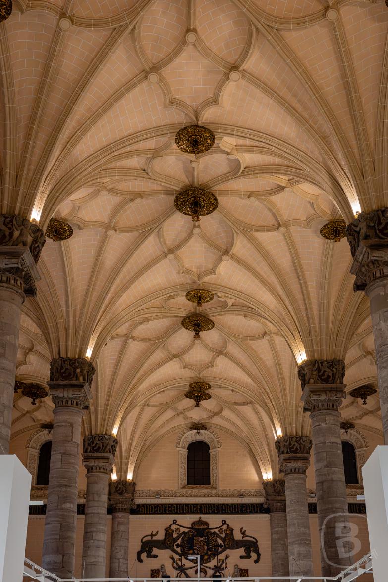 Saragossa | Sala de Exposiciones La Lonja | Decke