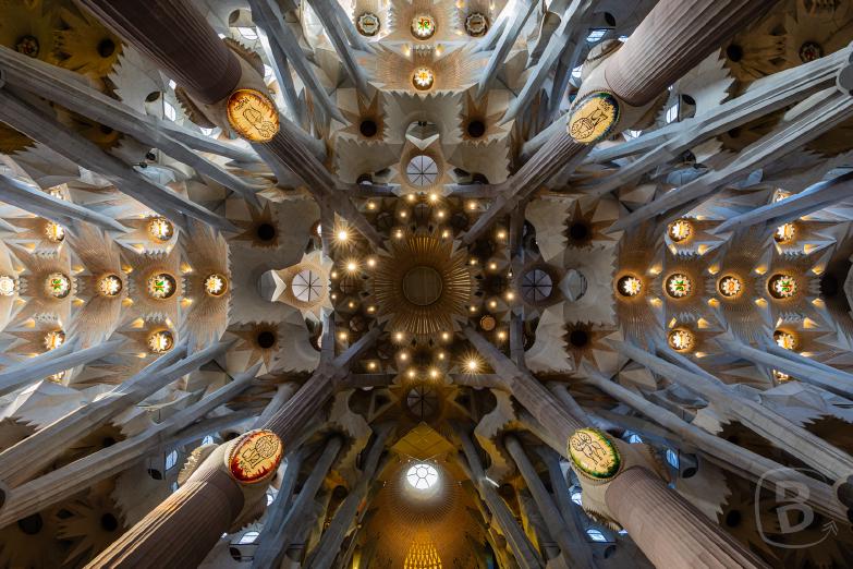 Barcelona / Sagrada Família | Säulen und Decke