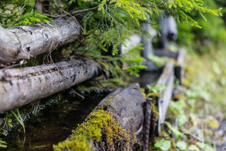 Erzherzog-Eugen-Weg | Tränke bei der Rendlalpe