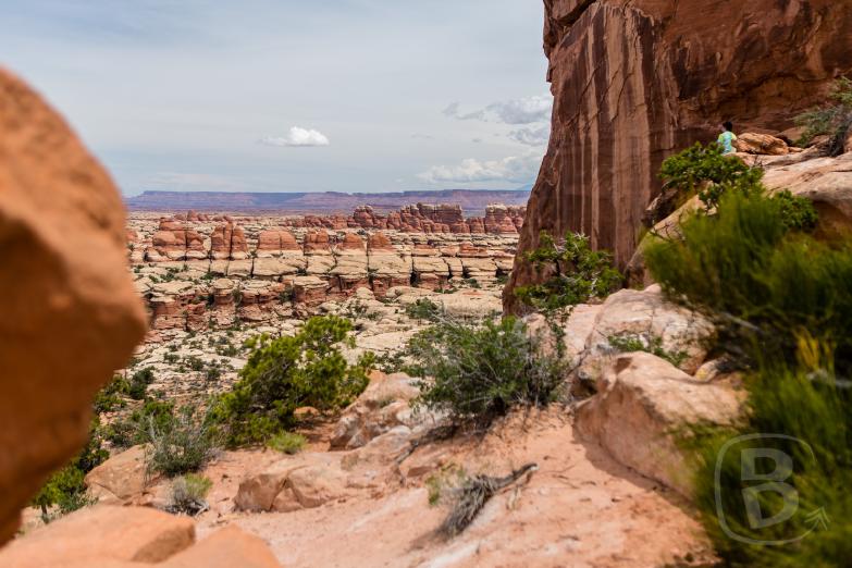 Canyonlands National Park / Needles District | Blick vom Chesler Park Viewpoint