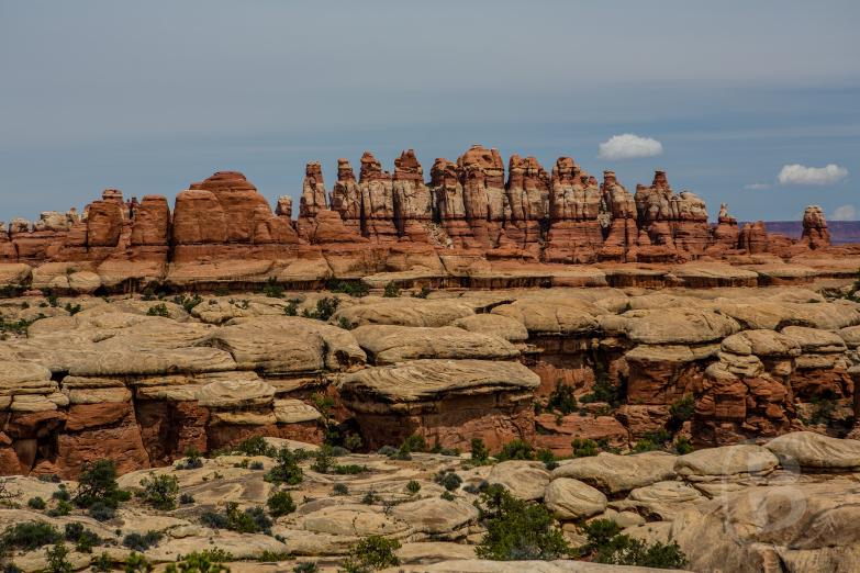 Canyonlands National Park | Blick auf die Needles