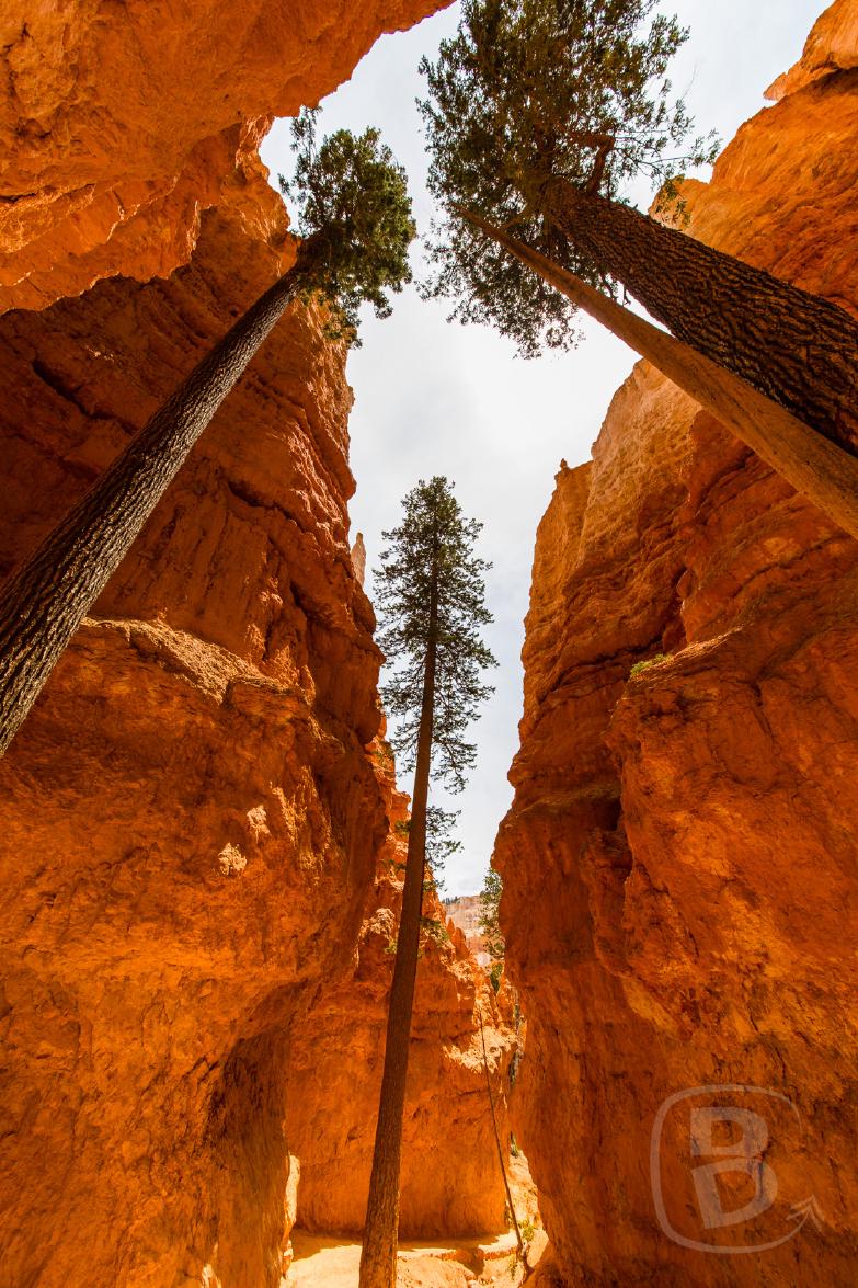 Bryce Canyon | Wallstreet