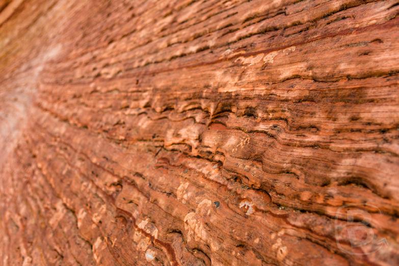 Zion National Park | Felsstrukturen