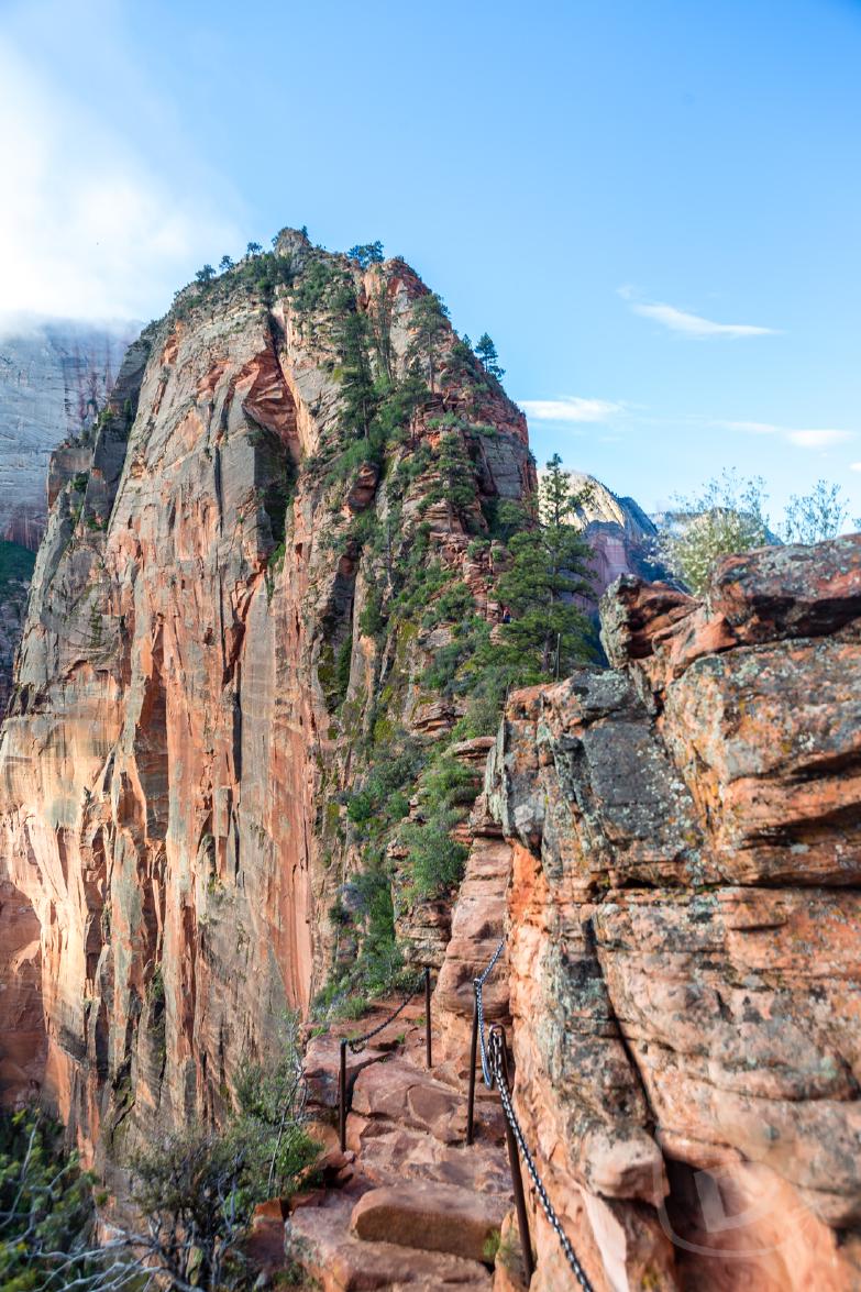 Zion National Park | Blick Richtung Angels Landing