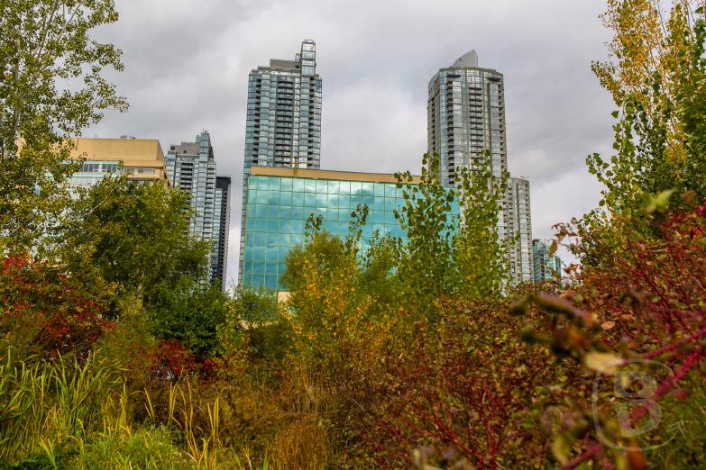 Toronto | Toronto Music Garden