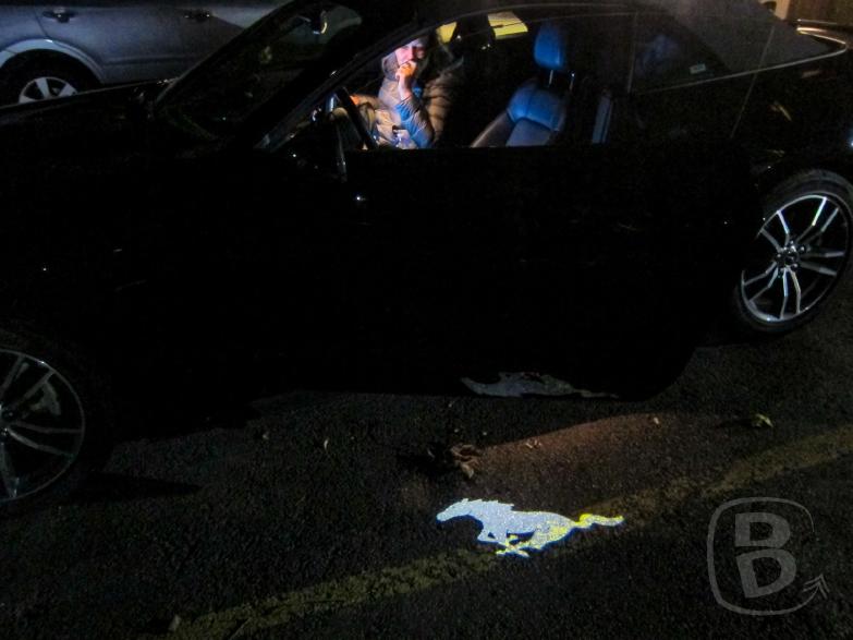 Mustang | Projiziertes Pferdchen