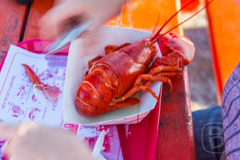 Lobster Shack | Jeannettes Lobster