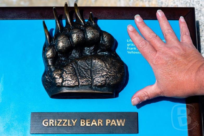 Teton NP | Bear Paw & Jeannettes Hand