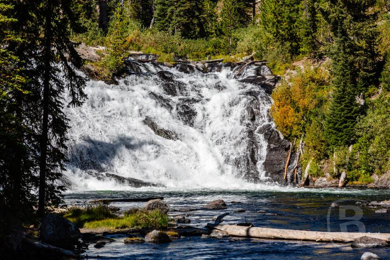 Yellowstone NP | Lewis Fall