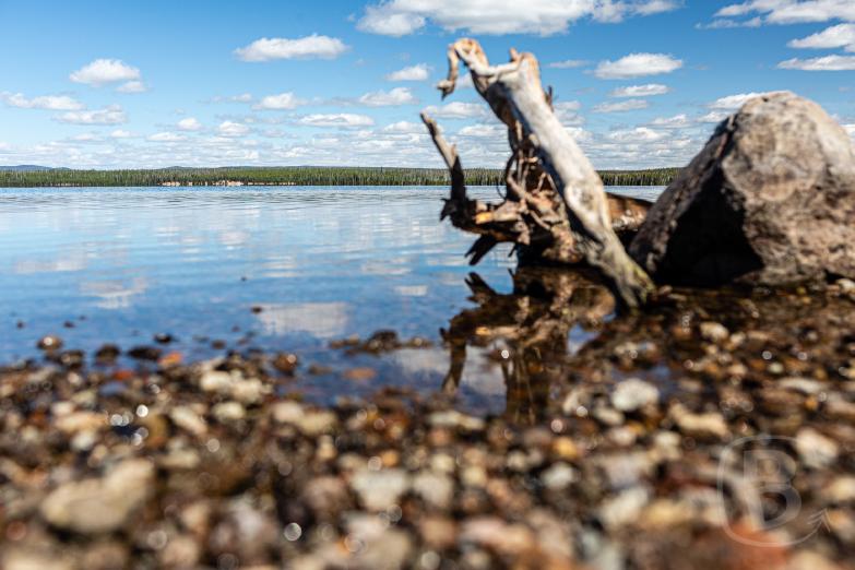Yellowstone NP | Lewis Lake