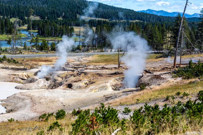 Yellowstone NP | Mud Volcano - Mud Geyser