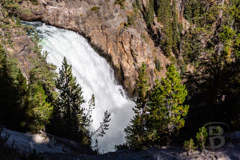 Yellowstone NP | Upper Fall im Yellowstone Canyon