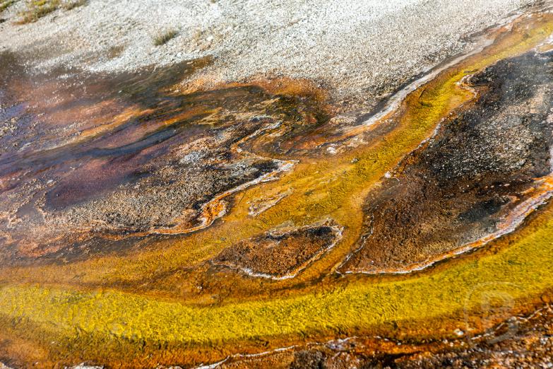 Yellowstone NP | Black Sand Basin - Rainbow Pool
