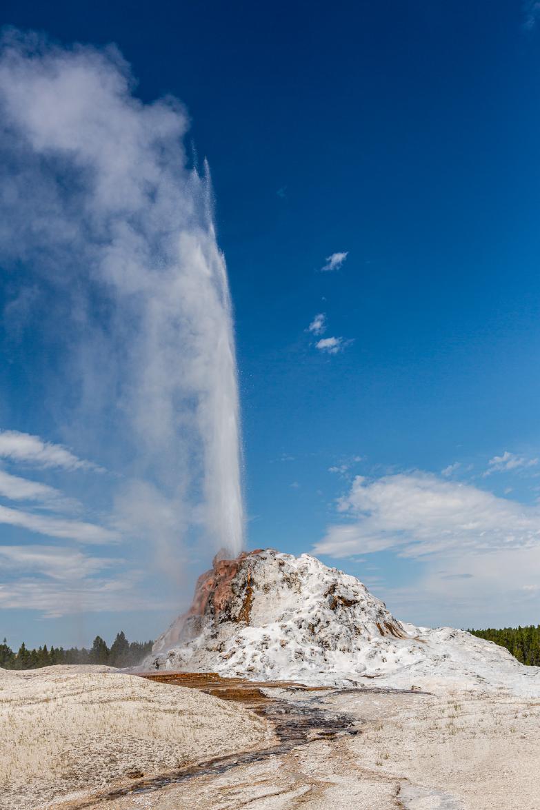 Yellowstone NP | White-Dome-Geyser