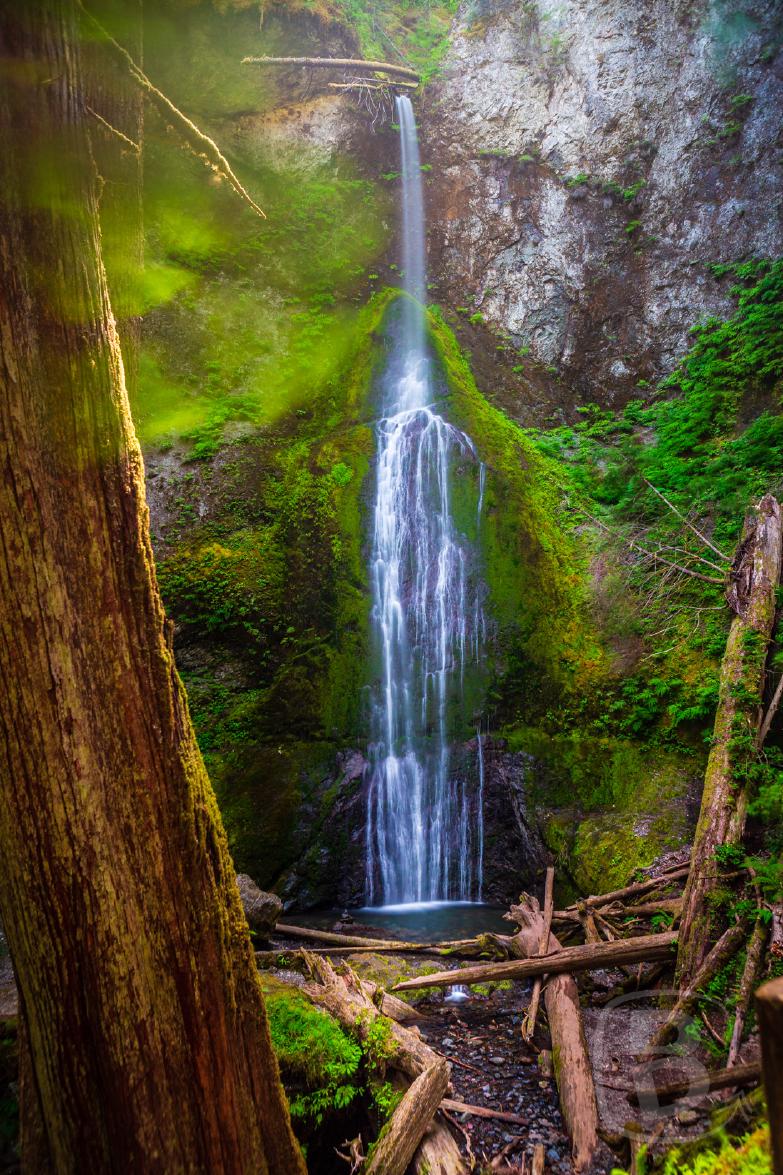 Olympic National Park | Marymere Falls