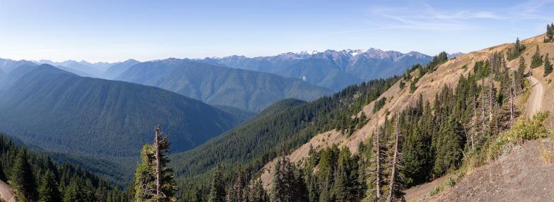 Olympic National Park | Blick auf die Olympic Mountains