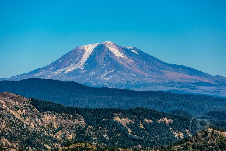 Windy Ridge | Mount St. Helens