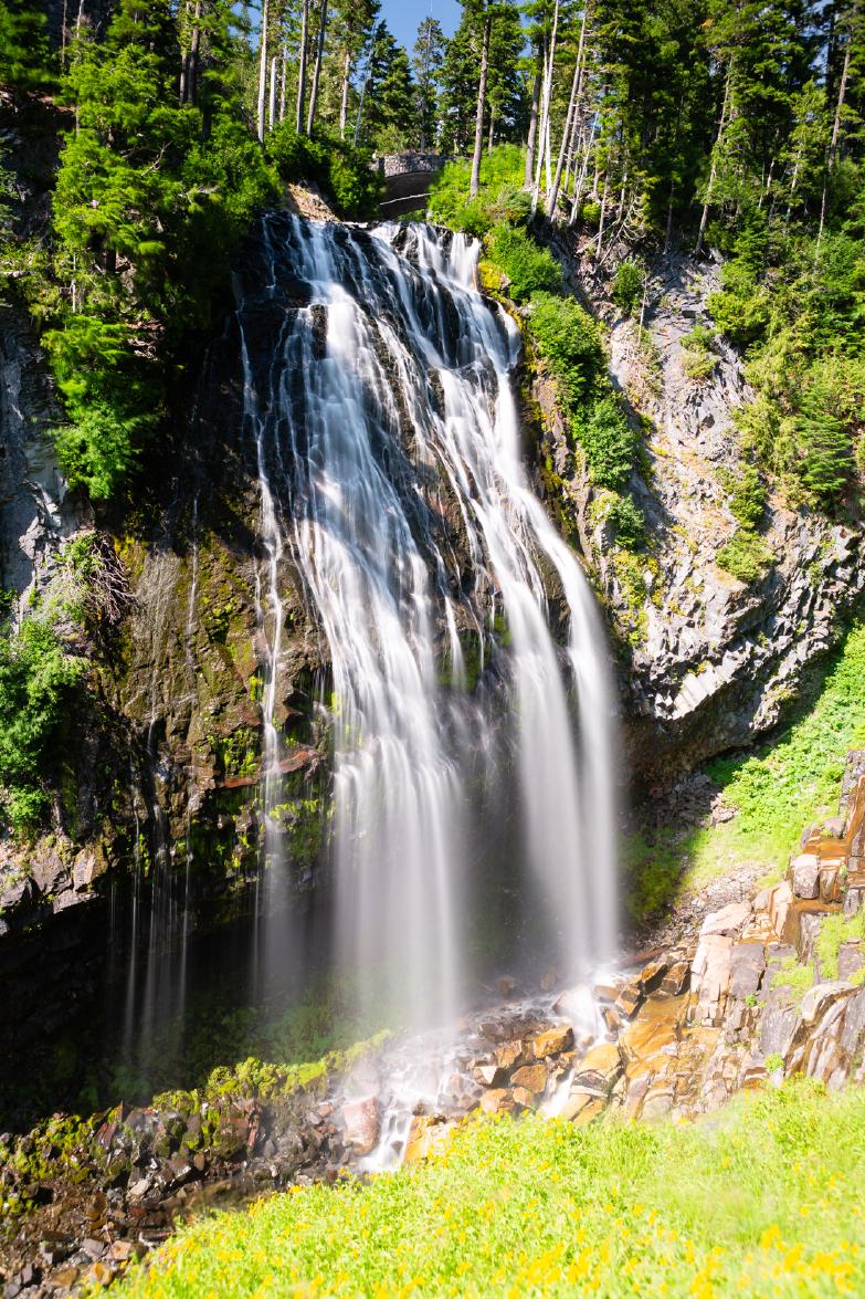 Mount Rainier | Narada Falls