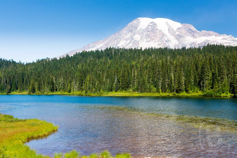 Mount Rainier | Reflection Lake