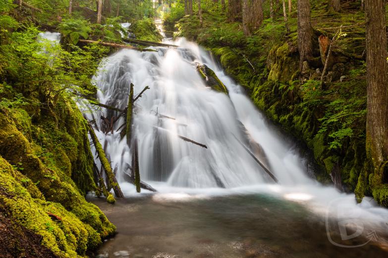 Mount Hood | Little Zigzag Falls