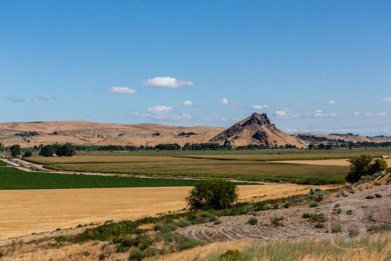 Ontario | Mallheur Butte