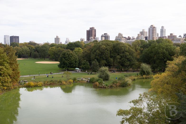 New York | Central Park - Belvedere Castle