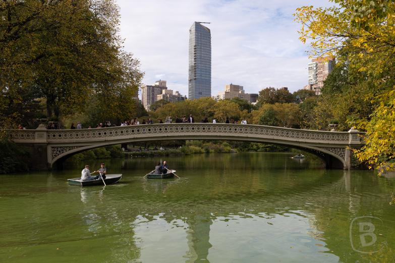 New York | Central Park - Bow Bridge