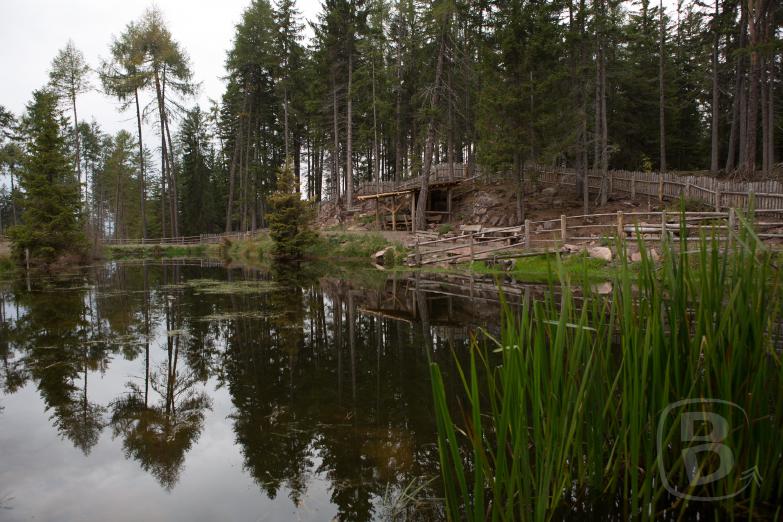 Waldsee am Weg zur Wurzeralm