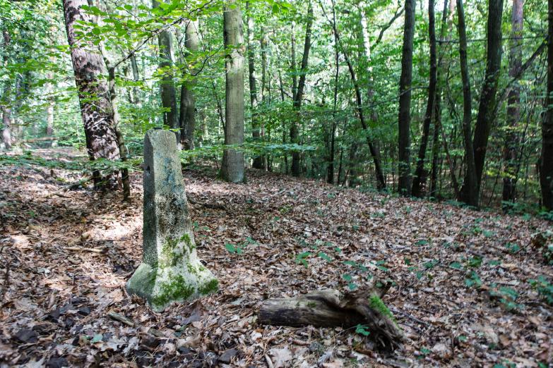 Alte Friedhofsbahn Stahnsdorf | Reste der alten Gleisanlage