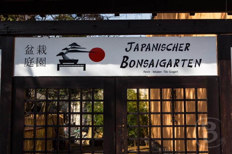 Japanischer Bonsaigarten in Ferch