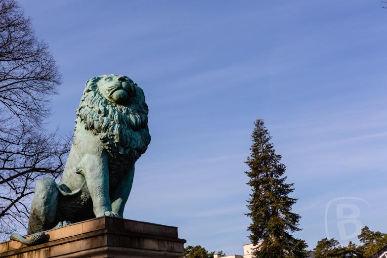 Heckeshorn | Flensburger Löwe