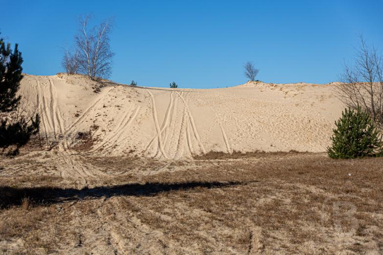 Jüterbog | Wanderweg Wurzelberg - Blick auf die Düne